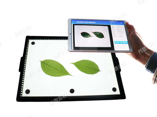 YMJ-CHA3智能葉面積測量系統