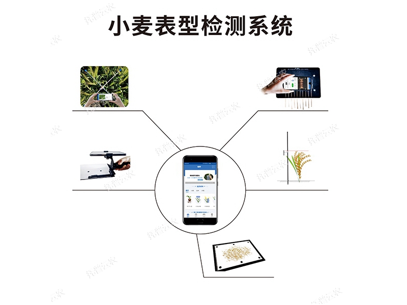 小麥表型檢測系統 TPM-BX-1