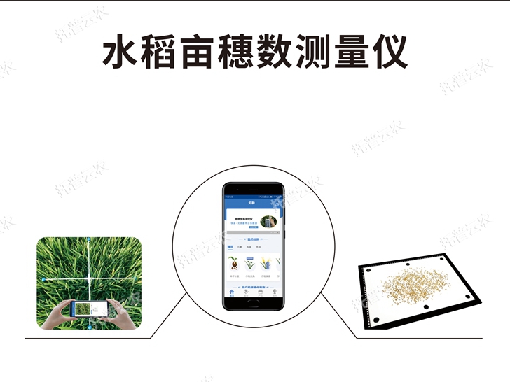 TPDS-1/TPDS-2水稻畝穗數測量系統