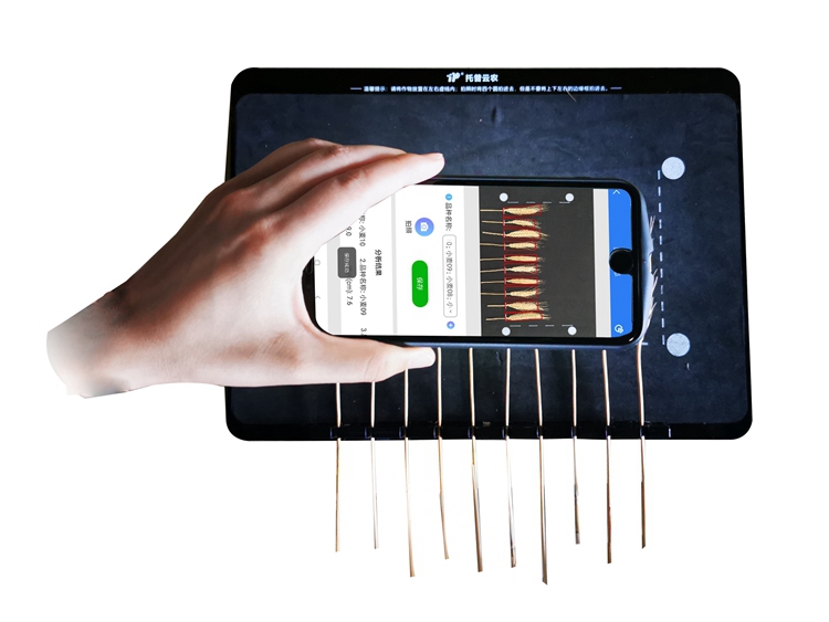 TPMS-X-1麥穗形態測量儀