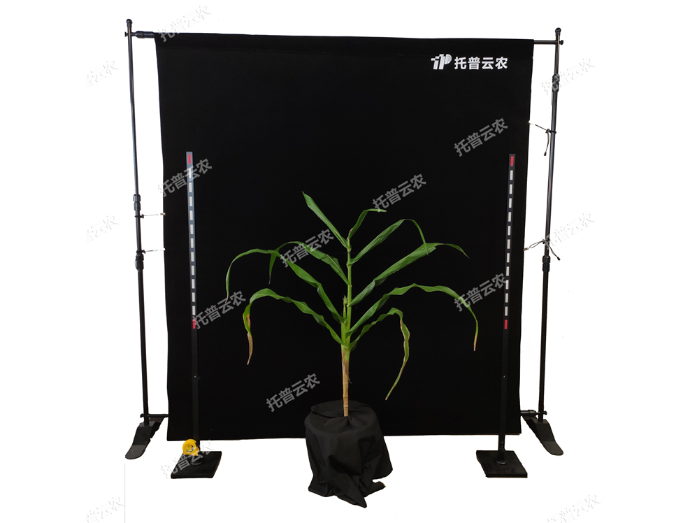 TPMT-X-1玉米株型分析系統