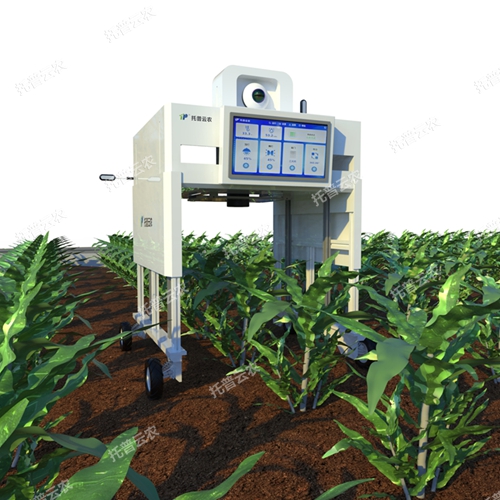 無人車式高通量表型采集分析平臺（橫跨式）TP-GTL-ARD