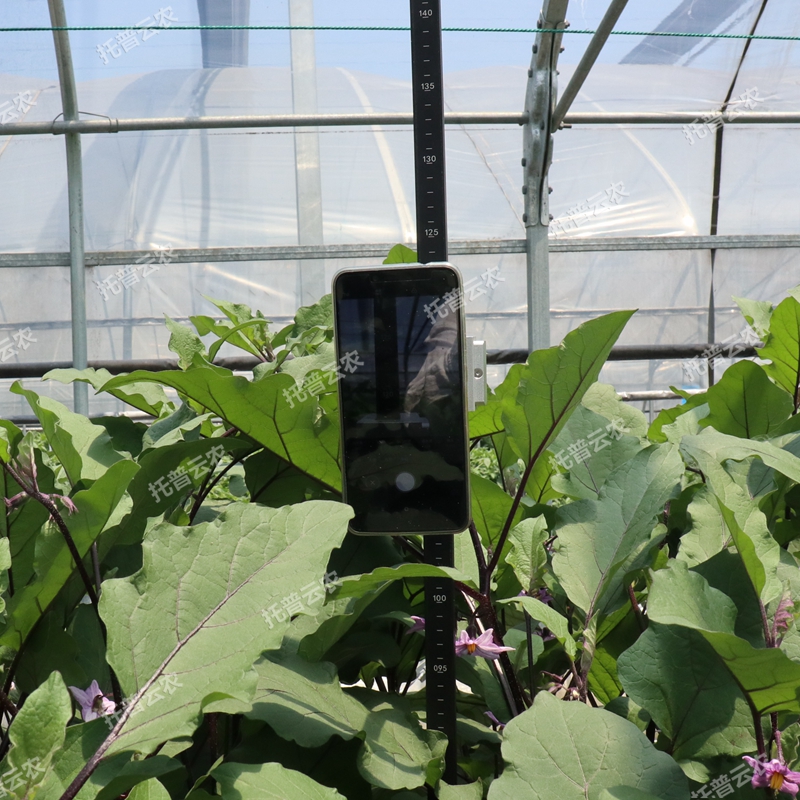 TPDM-G-1作物株高測(cè)量?jī)x