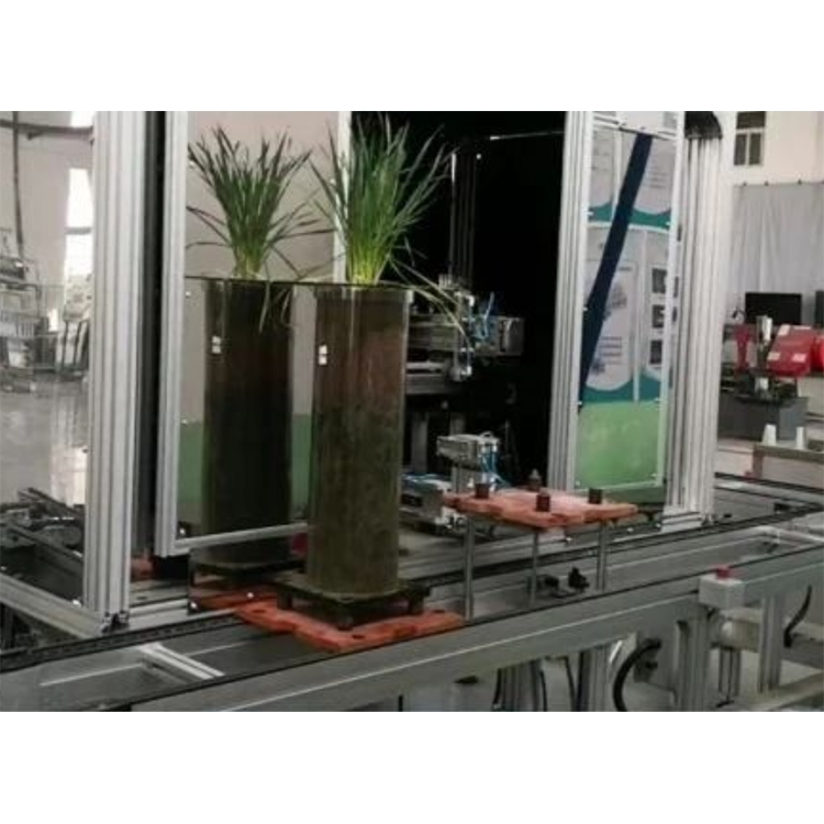 高通量植物根系表型采集分析系統(tǒng)（根筒式）TPN-GXY-GT