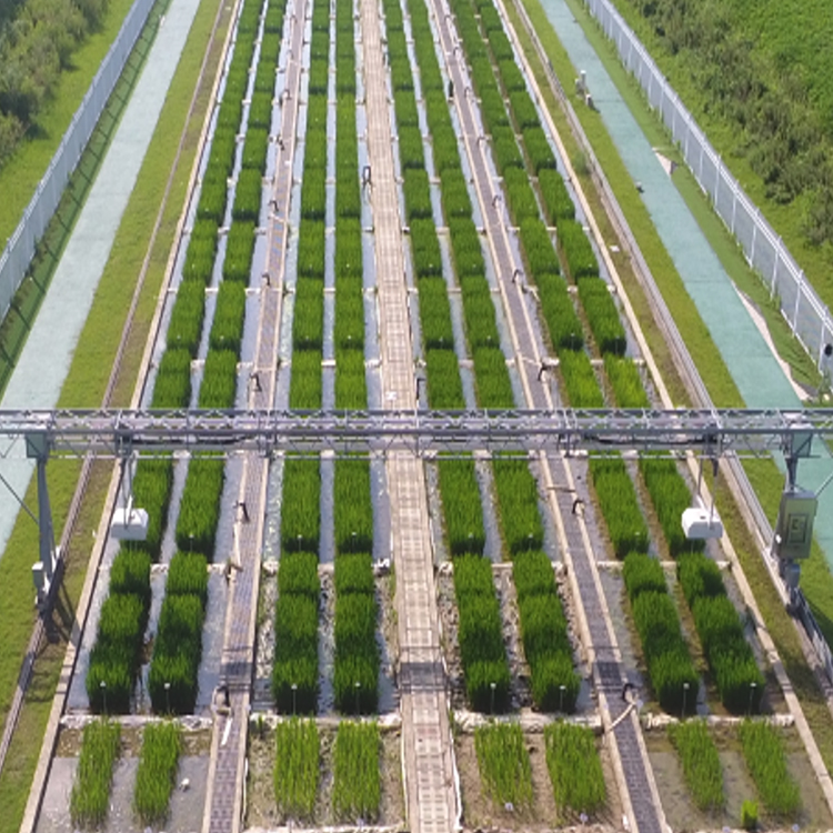 龍門式高通量表型采集分析平臺（地軌式）TPN-GTL-GT1