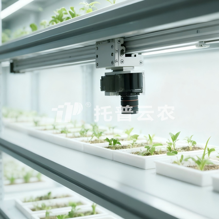 室內種子萌發表型監測系統